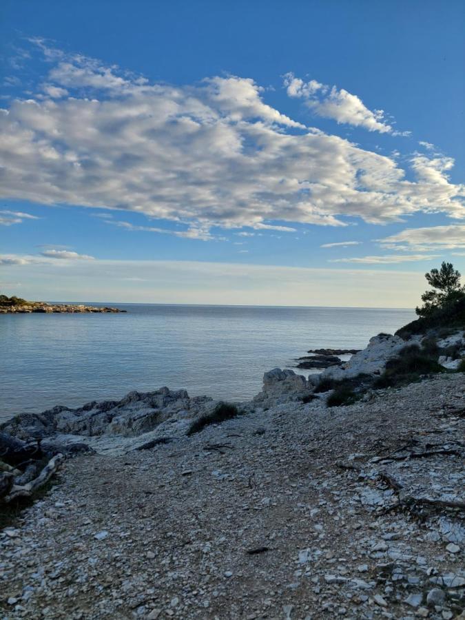 Pulabella Pola