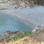 Pulabella